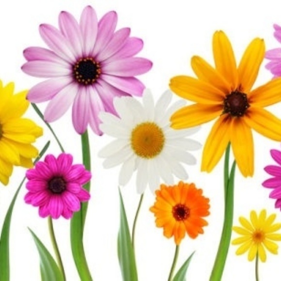 Meet your Posher, Brenda - Picture 1 of 2